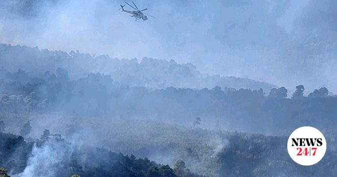 Σκύρος: Στα 3.636 τα καμένα στρέμματα γης από τη φωτιά