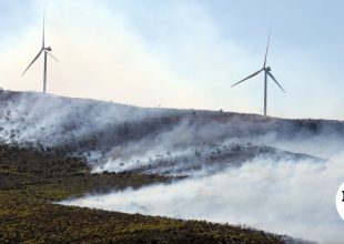 Βοιωτία: Αναστολή λειτουργίας του αιολικού πάρκου από όπου ξεκίνησε