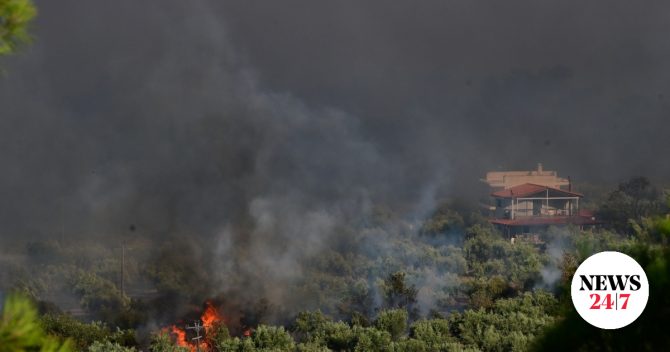 Φωτιά στη Βοιωτία: Στη φυλακή ο δήμαρχος Στυλίδας, ο εργολάβος και ιδιοκτήτης της εταιρείας