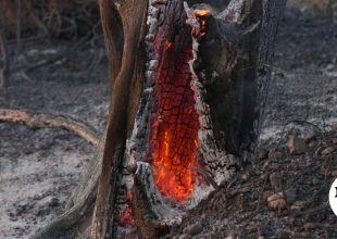 Ενεργοποιήθηκε η υπηρεσία Copernicus για την πυρκαγιά στη Χαλκιδική