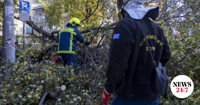 Καισαριανή: Διακοπή κυκλοφορίας στη Φορμίωνος μετά από πτώση δέντρου