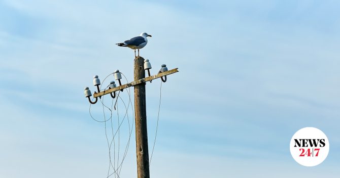 Διακοπές ρεύματος σε 6 δήμους της Αττικής την Κυριακή (13/09)
