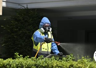 Ιός Δυτικού Νείλου: Έκτακτοι ψεκασμοί στο Παλαιό Φάληρο