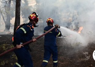 Φωτιά κοντά στη λίμνη Υλίκη