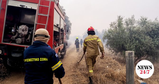 Φωτιά στον Αστακό Αιτωλοακαρνανίας