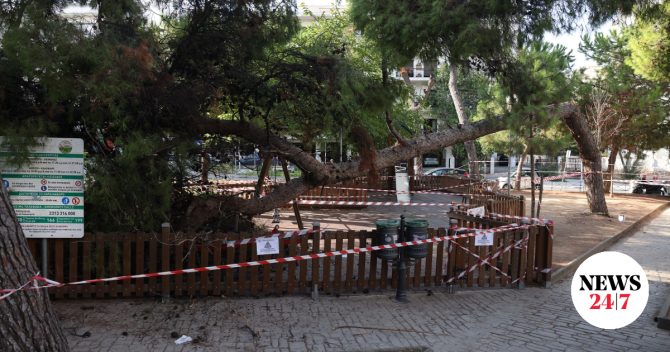 Καλαμαριά: Έπεσε δέντρο πάνω σε μητέρα και παιδί ενώ βρίσκονταν σε παιδική χαρά