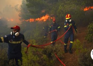 Σέρρες: Φωτιά στην Άνω Βροντού