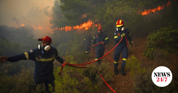 Σέρρες: Φωτιά στην Άνω Βροντού