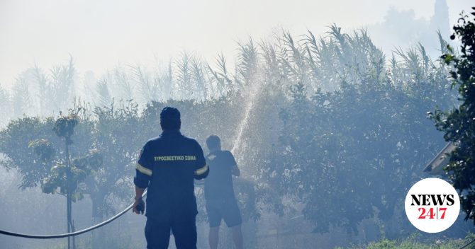 Υψηλός κίνδυνος πυρκαγιάς σε Αττική και πολλές ακόμα περιφέρειες την Κυριακή