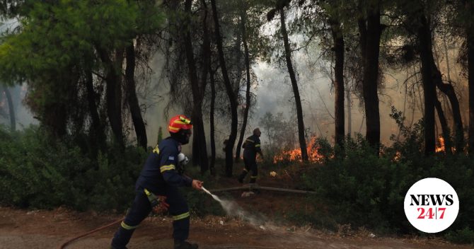 Λαγονήσι: Συνελήφθη 25χρονος για εμπρησμό από πρόθεση