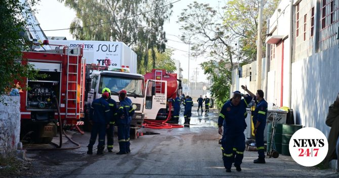 Θεσσαλονίκη: Φωτιά στο Πανόραμα – Εντοπίστηκε γυναίκα χωρίς τις αισθήσεις της