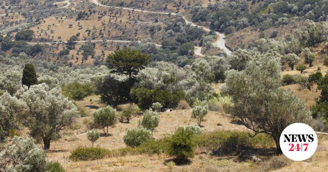 Θρίλερ στα Χανιά: Ανθρώπινος σκελετός βρέθηκε σε χωράφι