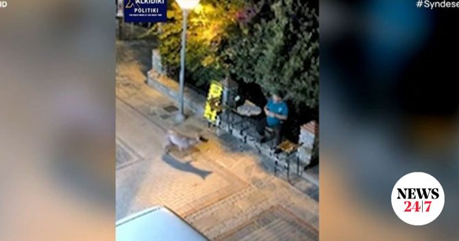 Νικήτη Χαλκιδικής: Άγριο ζώο πλησίασε κάτοικο σε απόσταση αναπνοής